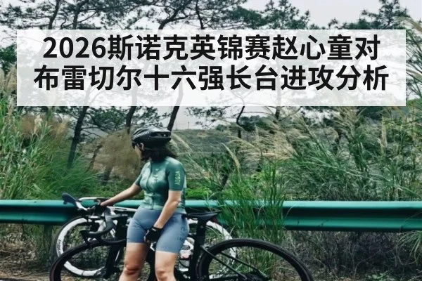 2026斯诺克英锦赛赵心童对布雷切尔十六强长台进攻分析
